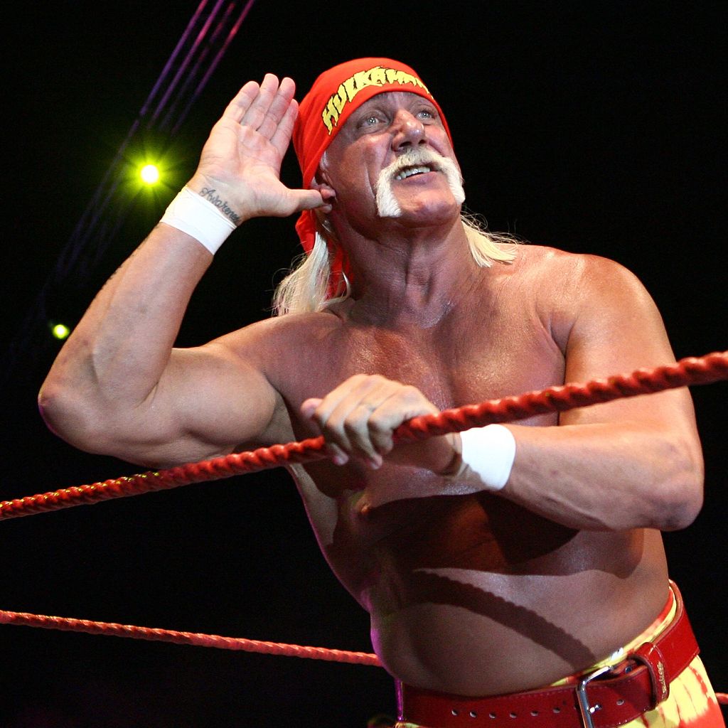 Hulk Hogan, Wrestler