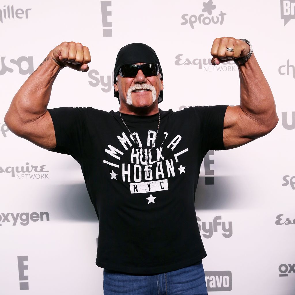 Hulk Hogan, Wrestling-Star