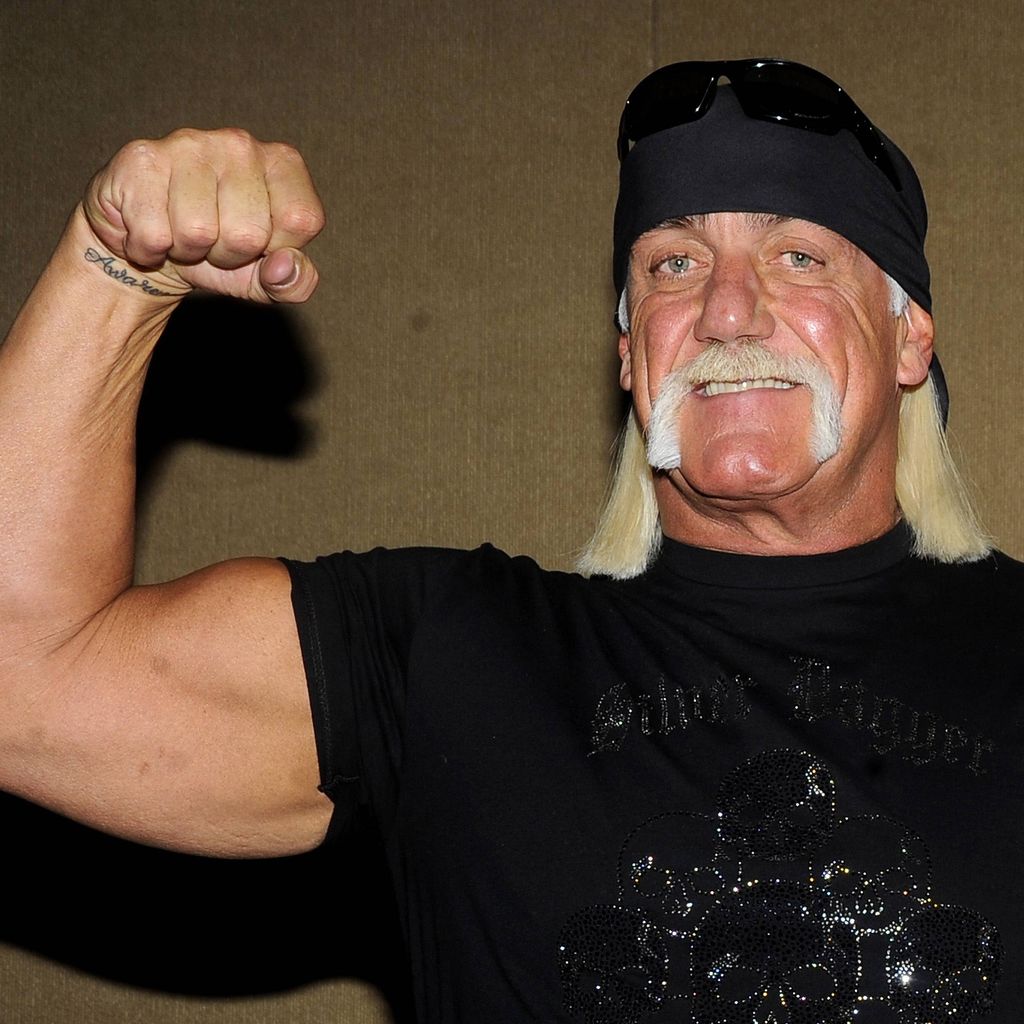 Hulk Hogan, 2008