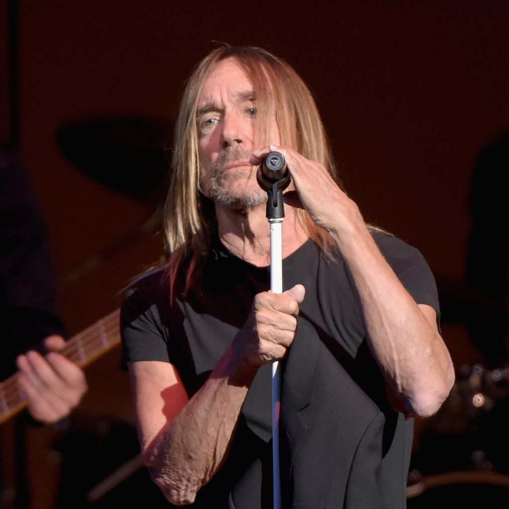 Iggy Pop, Punrocker