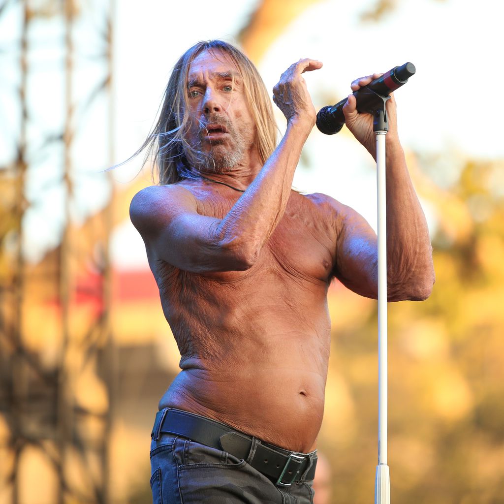 Rocker Iggy Pop 2017 in Los Angeles