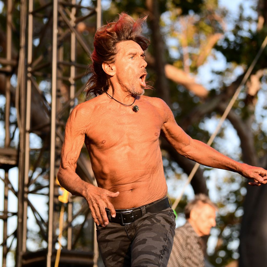 Iggy Pop, Rock-Star