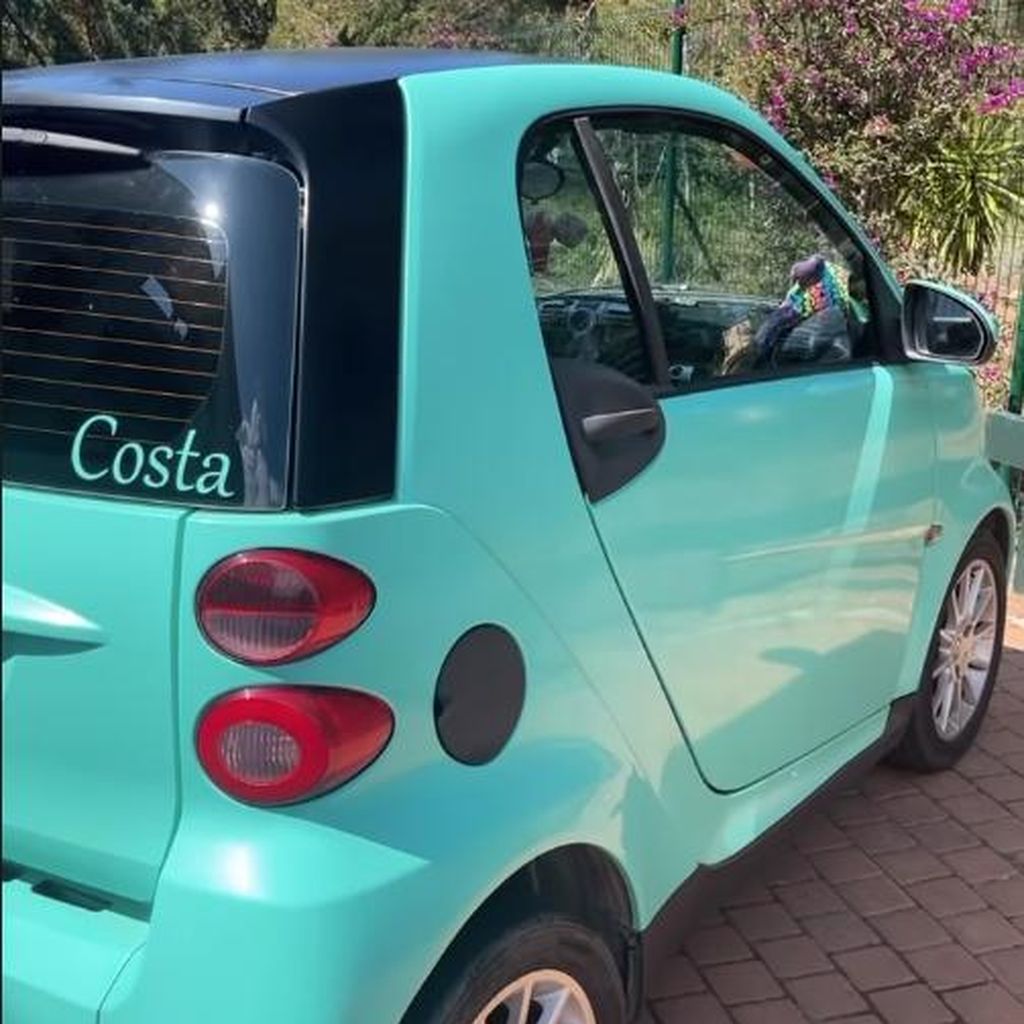 Costa Cordalis' Auto