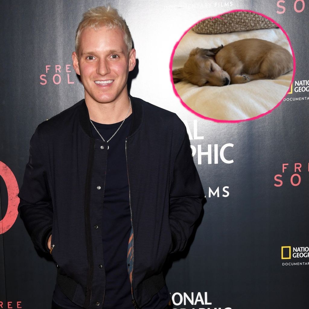 Jamie Laing und sein Hundewelpe