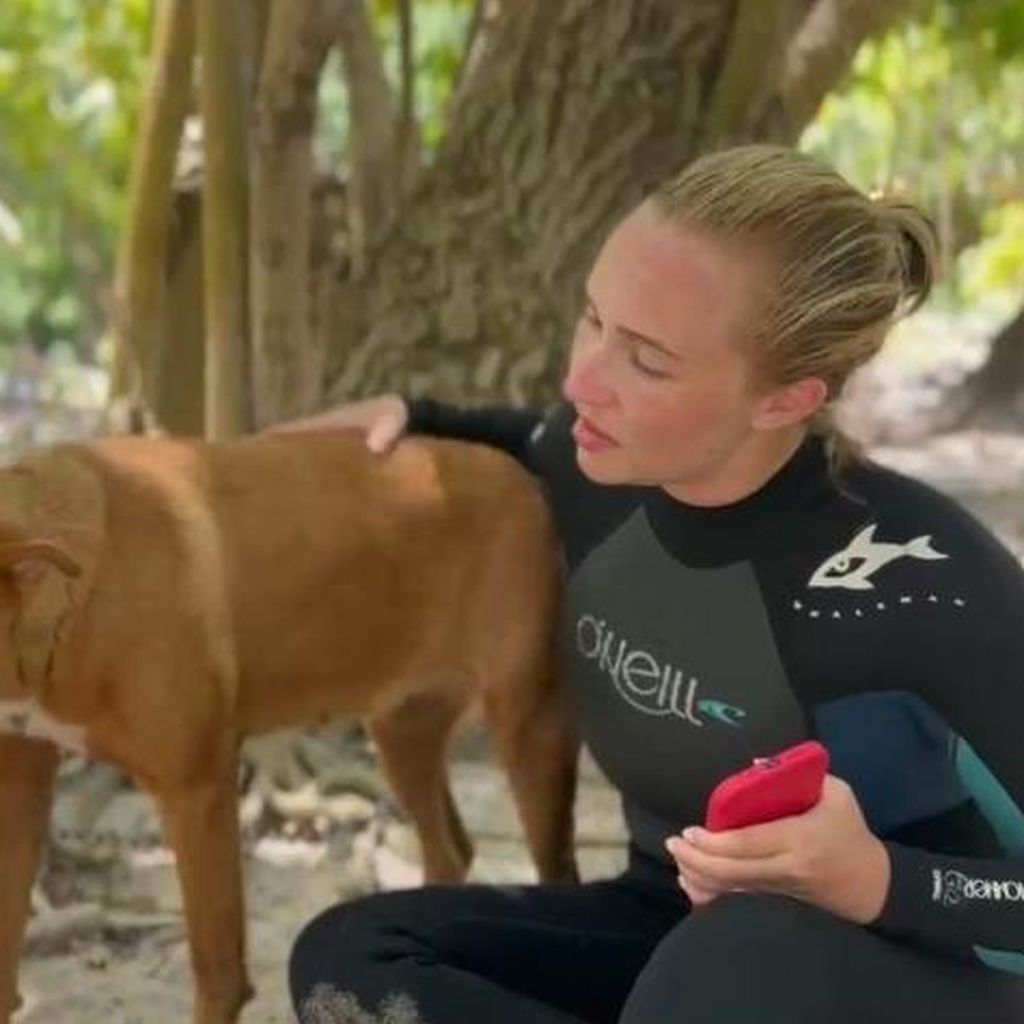 Jansen und Hayden Panettiere, Schauspieler