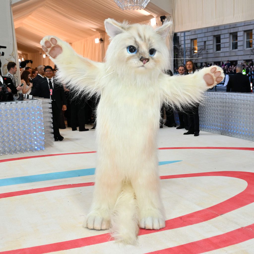 Jared Leto in einem Katzenkostüm