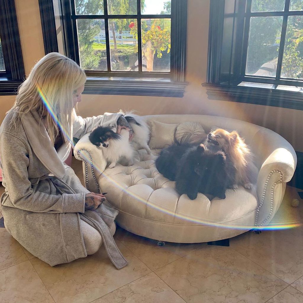 Jeffree Star mit seinen Pomeranians