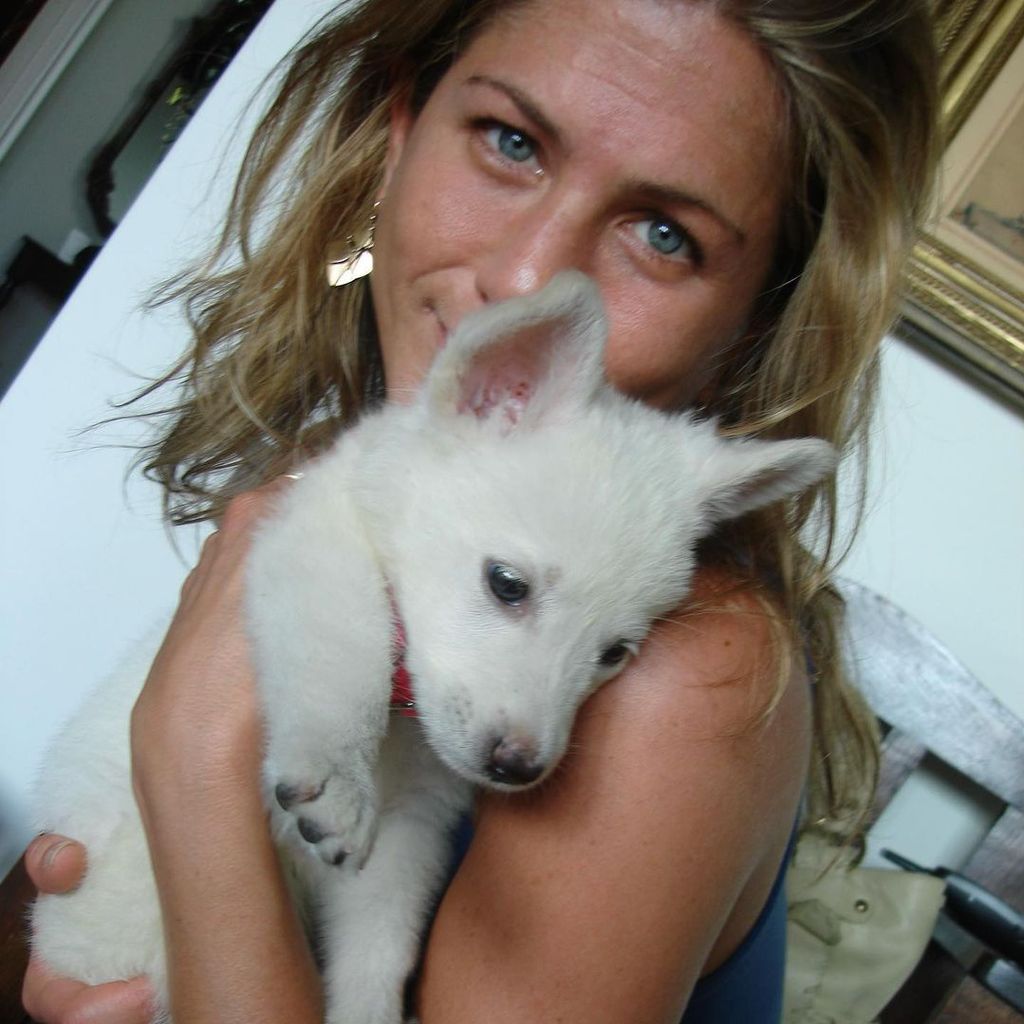 Instagramfoto von Jennifer Aniston mit Hund Dolly
