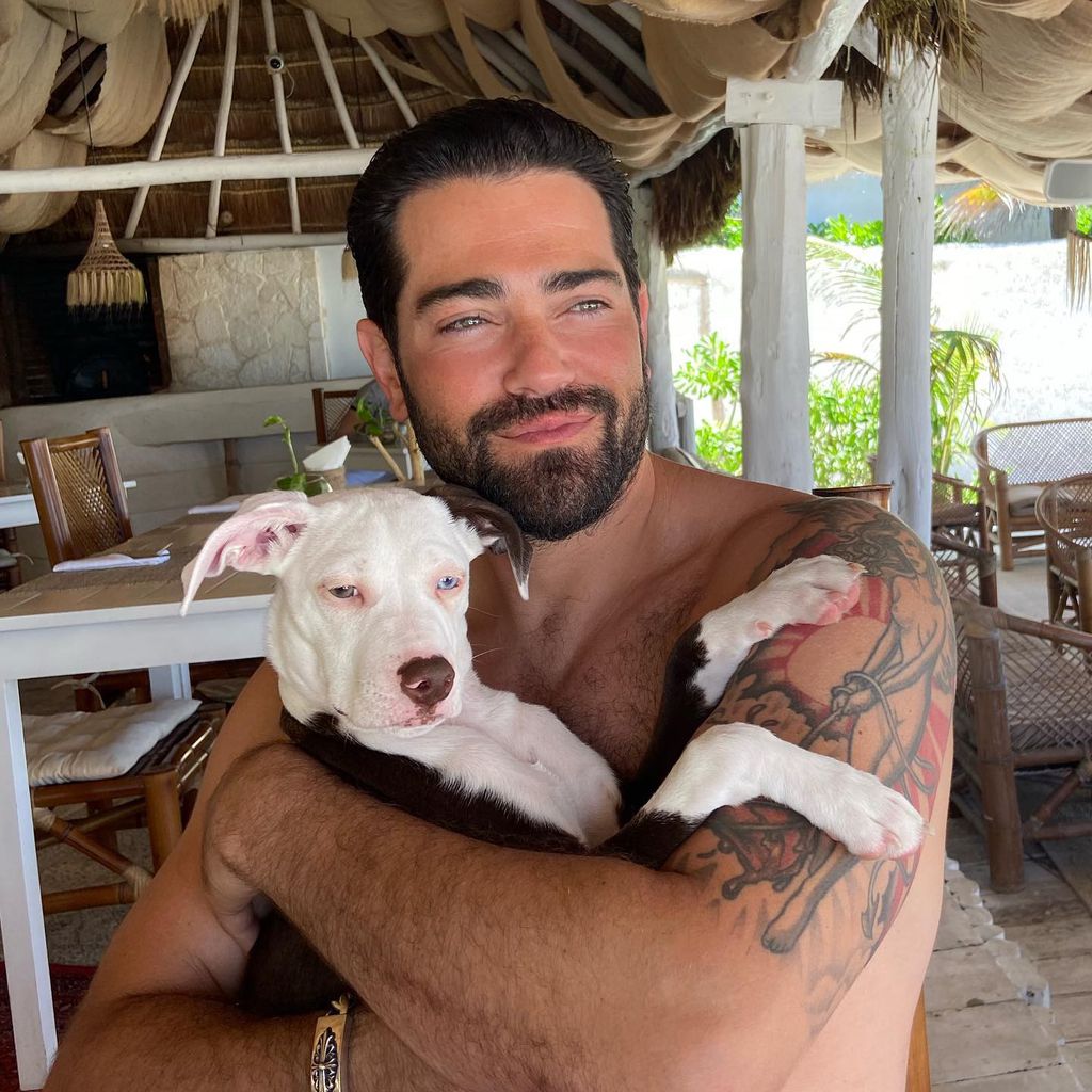 Jesse Metcalfe, Schauspieler