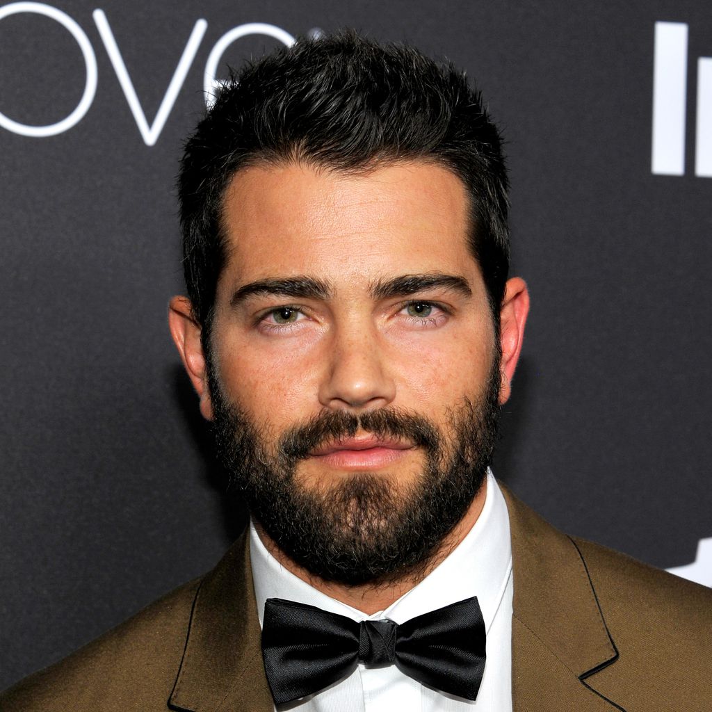 Jesse Metcalfe, Serienschauspieler