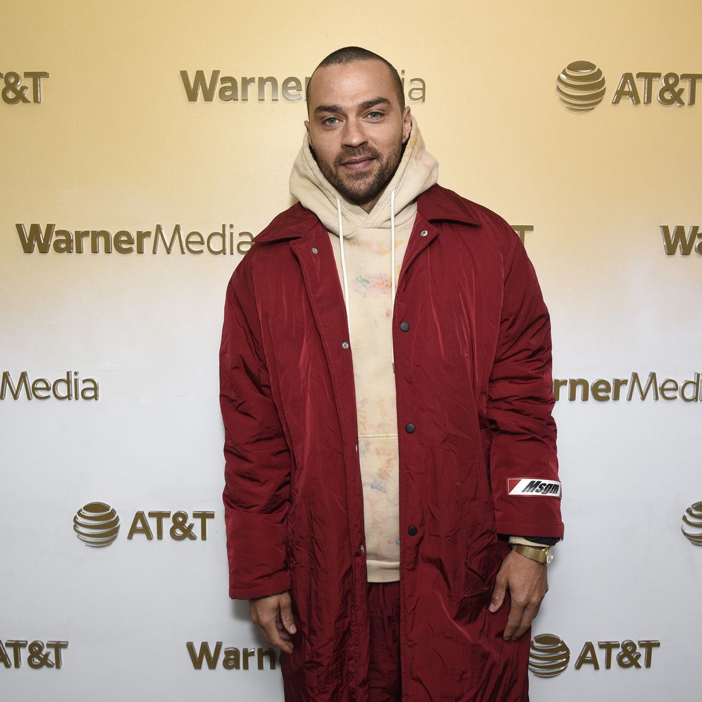 Jesse Williams, Schauspieler