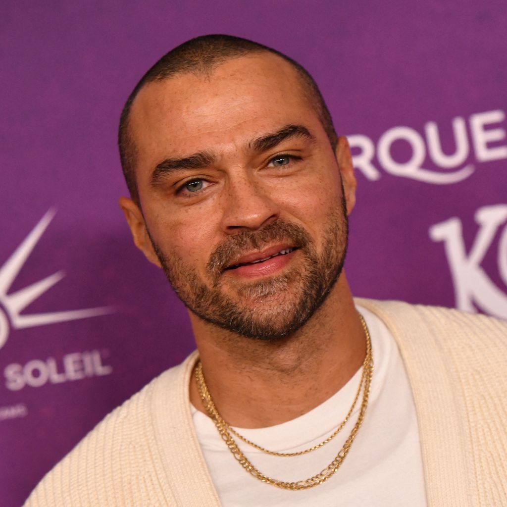 Jesse Williams, Schauspieler
