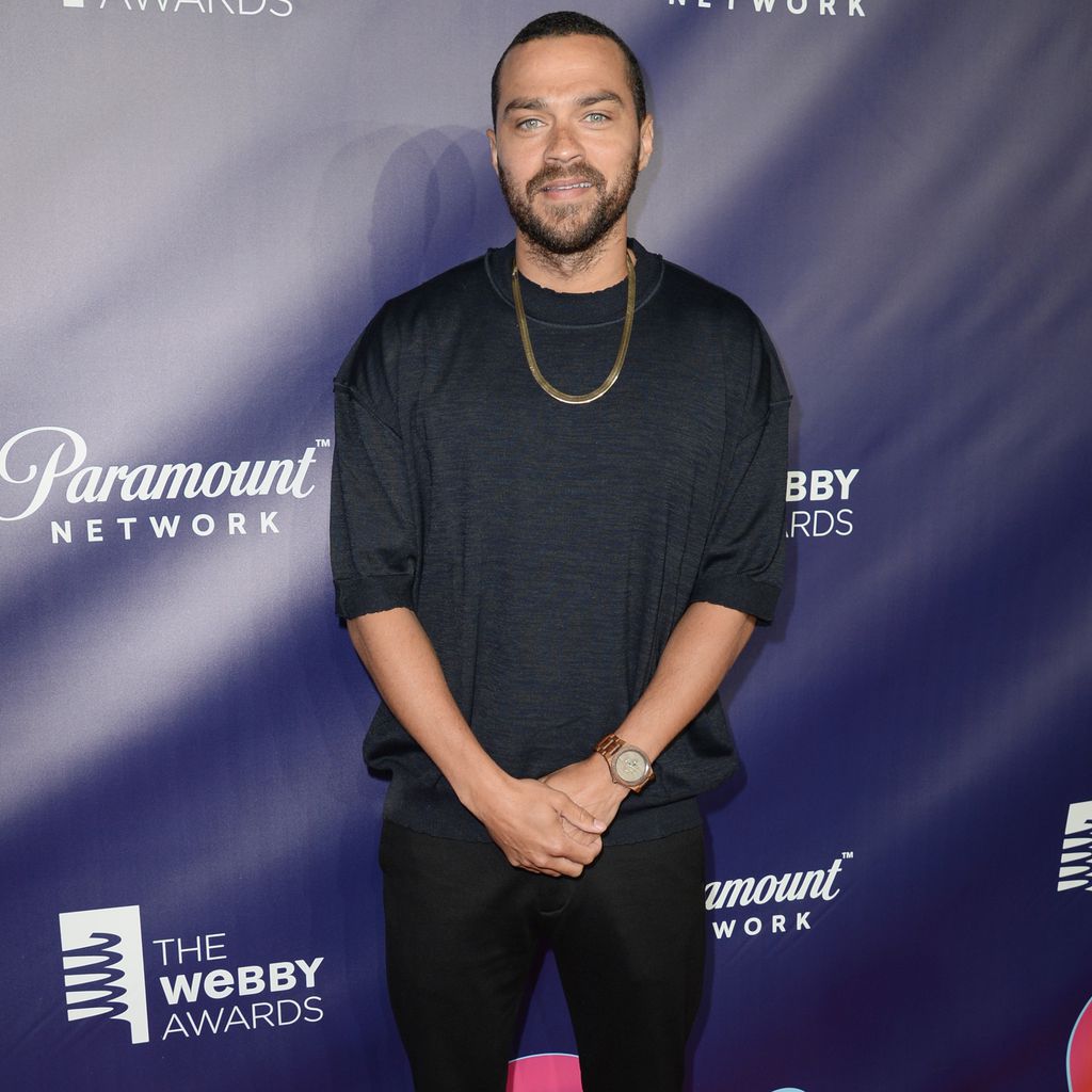 Jesse Williams, Schauspieler