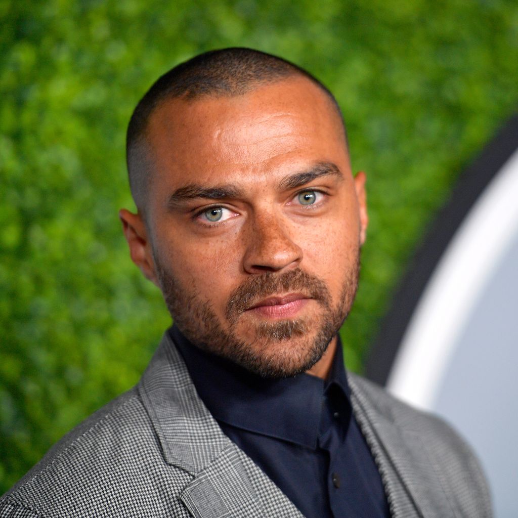 Jesse Williams, Schauspieler