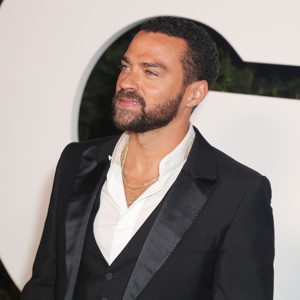 Jesse Williams, Schauspieler
