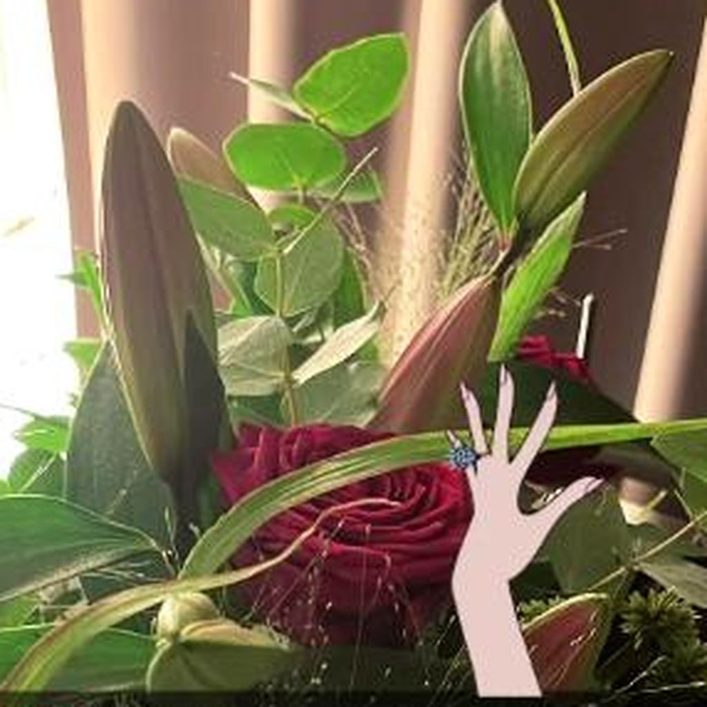 Jimi Blue Ochsenknechts Blumen für Laura Marie Geissler