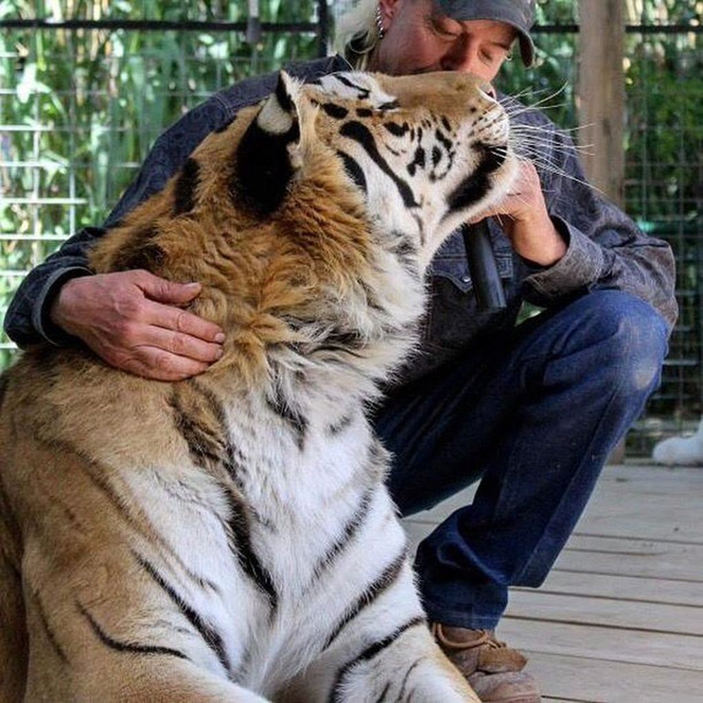 Joe Exotic, "Tiger King"-Star