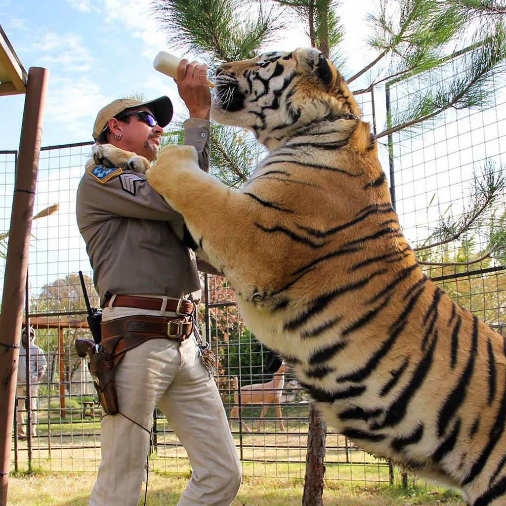 Joe Exotic, "Tiger King"-Star