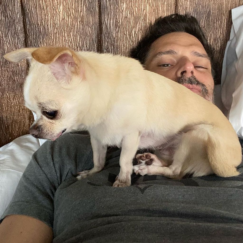 Joe Manganiello mit seinem Hund Bubbles