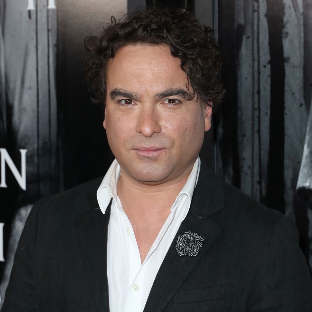 Johnny Galecki, TV-Star