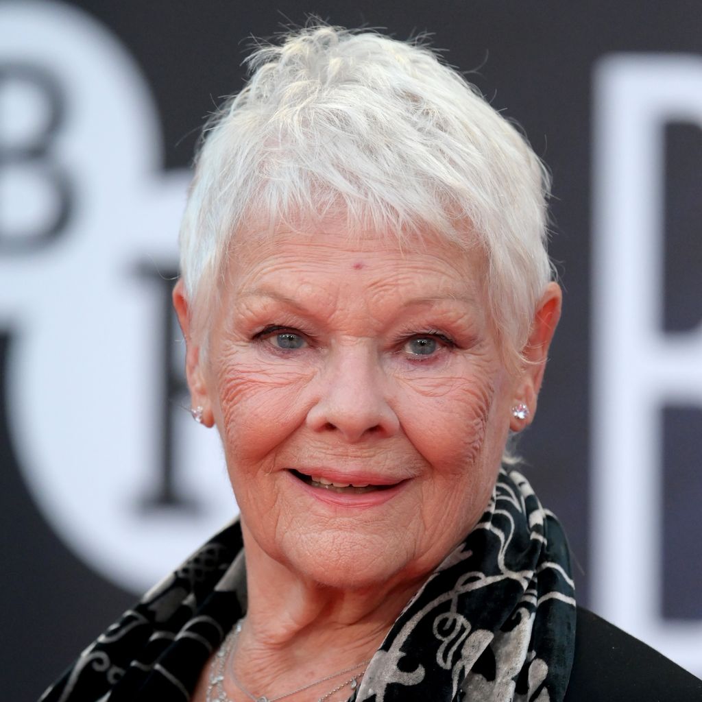 Judi Dench, Schauspielerin