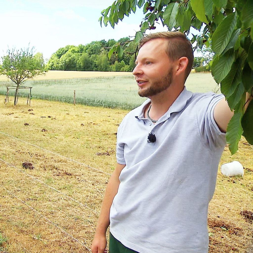 Julia und Erik bei "Bauer sucht Frau"