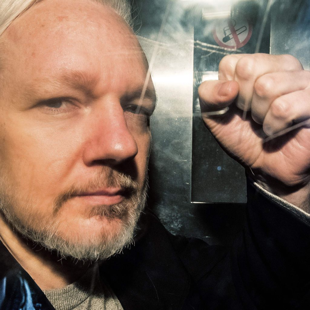 Julian Assange, Enthüllungs-Journalist