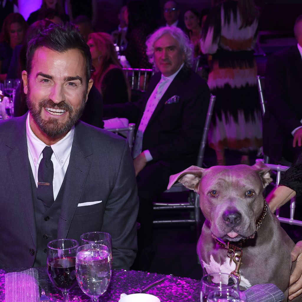 Justin Theroux mit seinem Hund Kuma, Dezember 2022