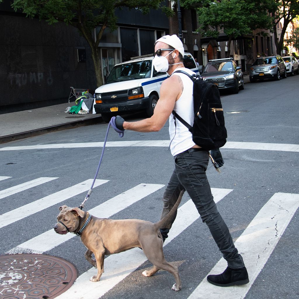 Justin Theroux mit seinem Hund Kuma
