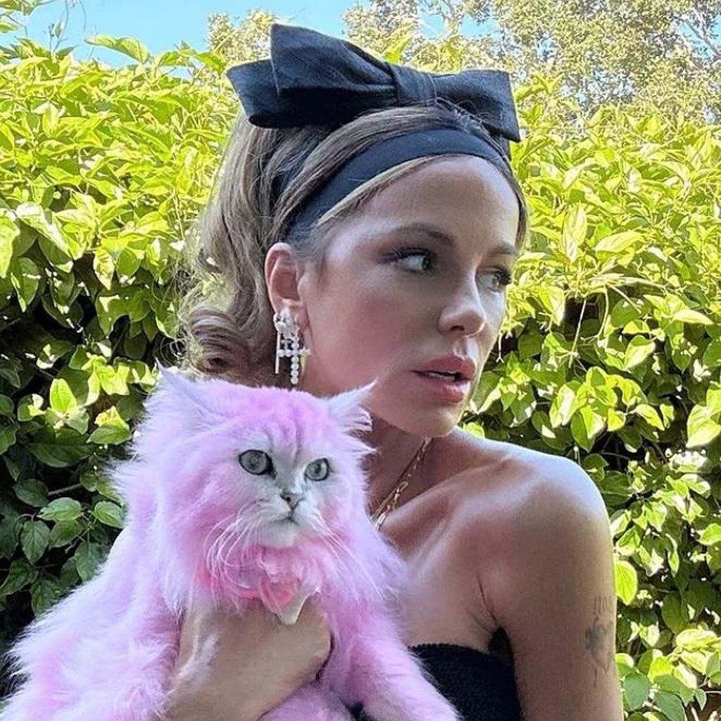 Kate Beckinsale mit einer Katze, Juli 2025