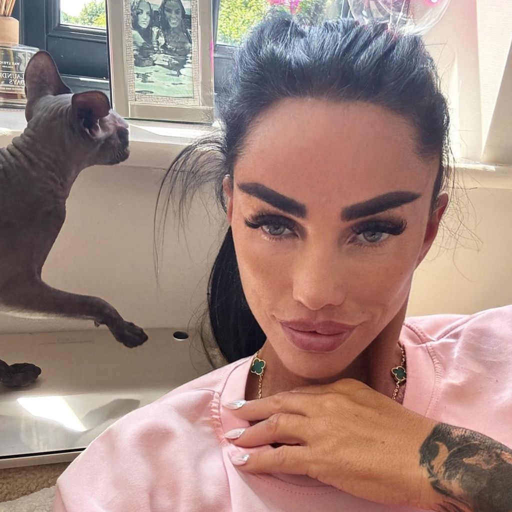 Katie Price, TV-Bekanntheit