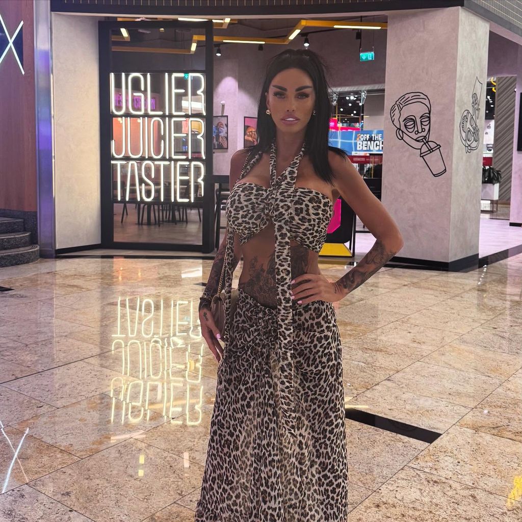 Katie Price, TV-Bekanntheit