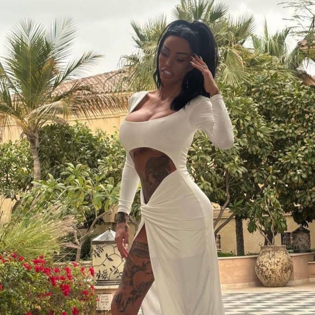 Katie Price, Social-Media-Star