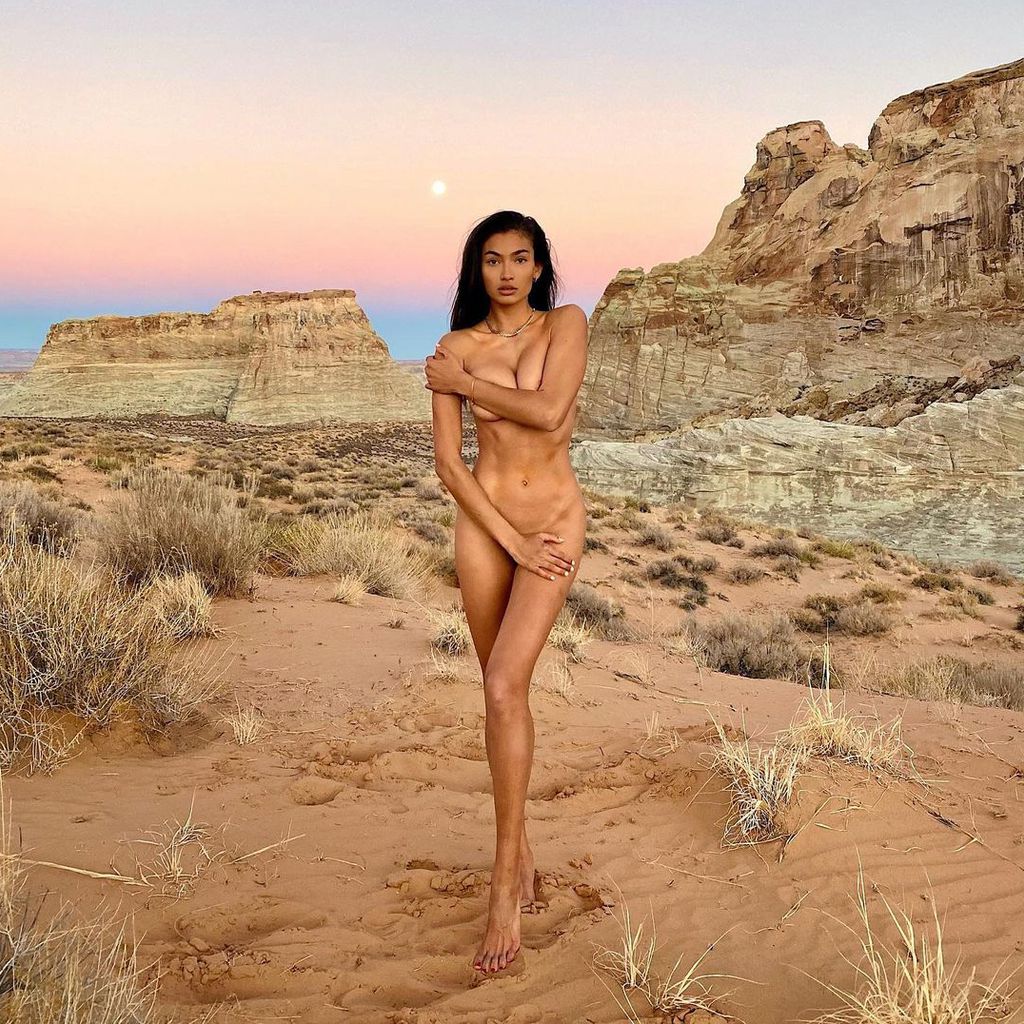 Supermodel Kelly Gale nackt in einer Wüste