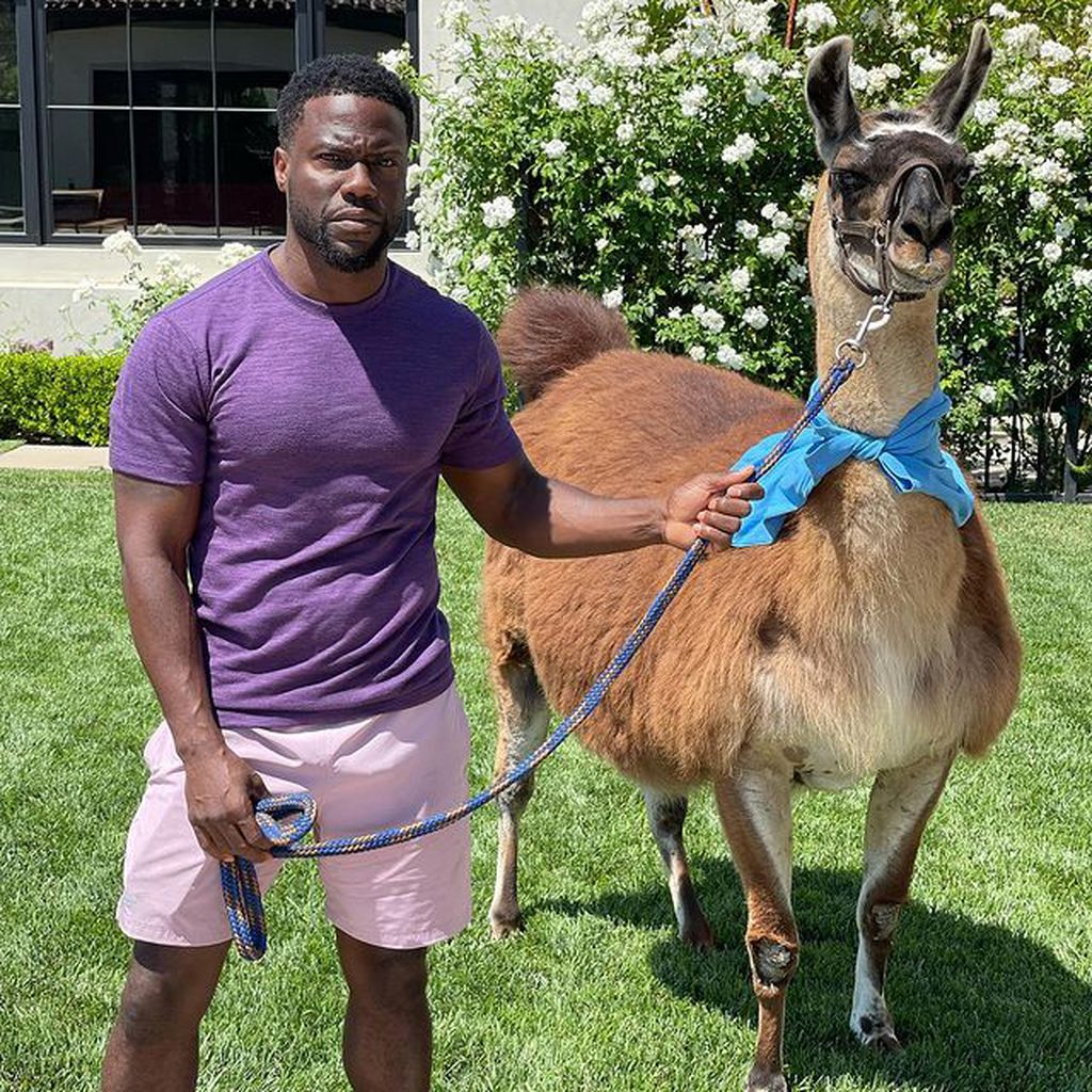 Kevin Hart an seinem Geburtstag im Juli 2021