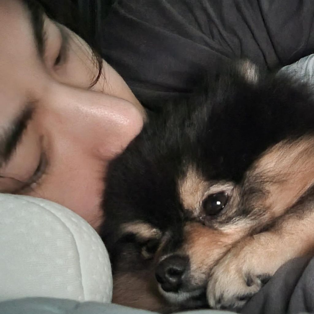Kim Taehyung mit seinen Hund Yeontan, Instagram, Dezember 2024