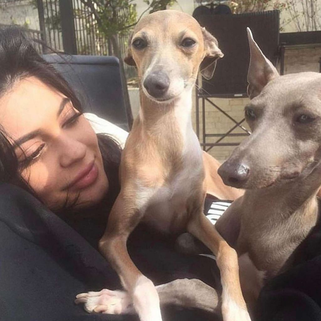 Kylie Jenner mit ihren Hunden Bambi und Norman
