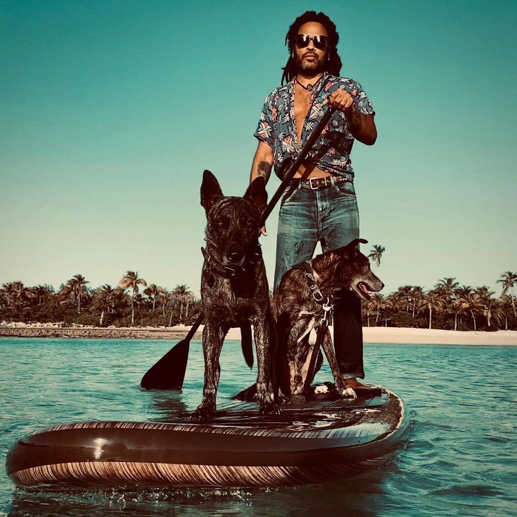 Lenny Kravitz mit seinen Hunden im November 2020