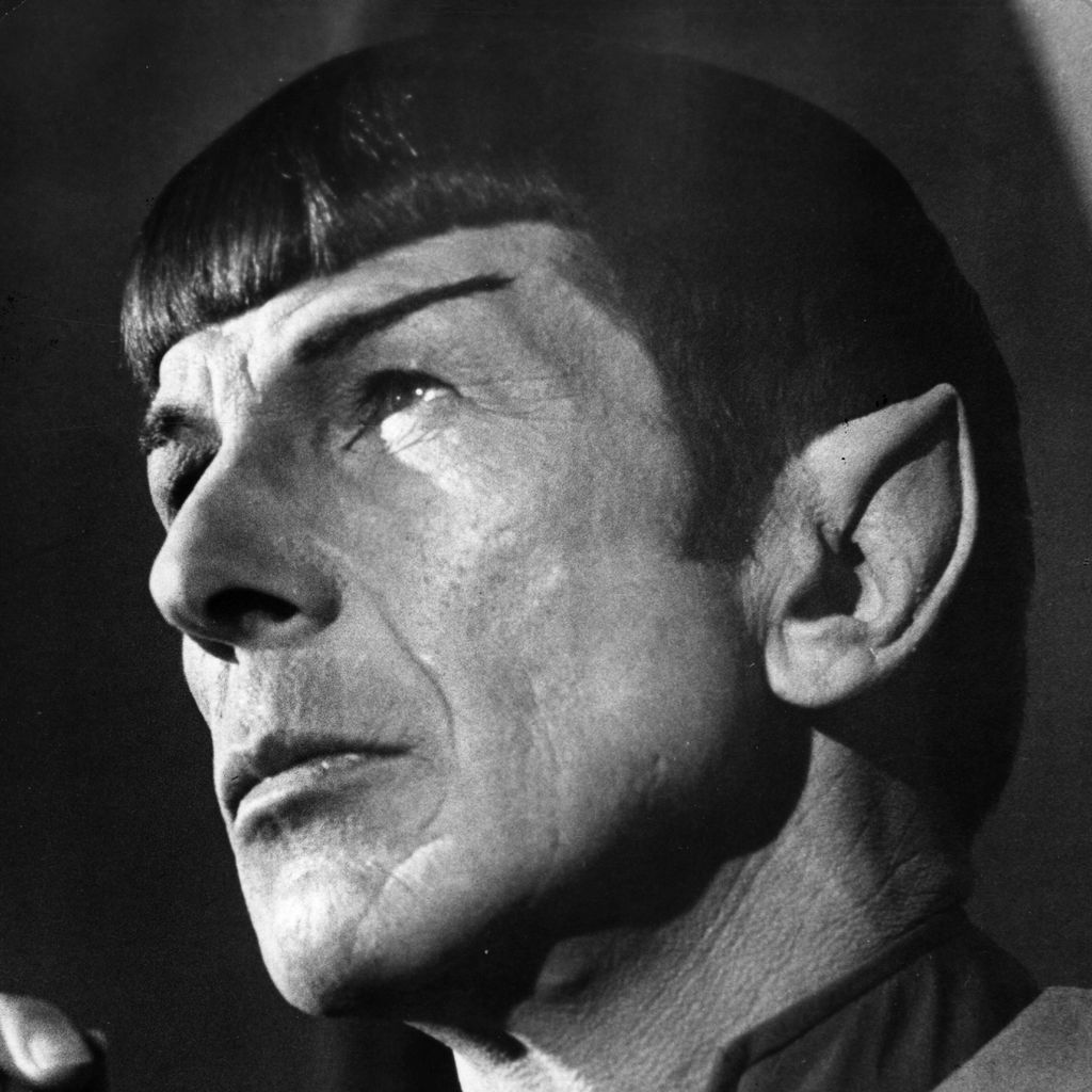 Leonard Nimoy als Mr Spock