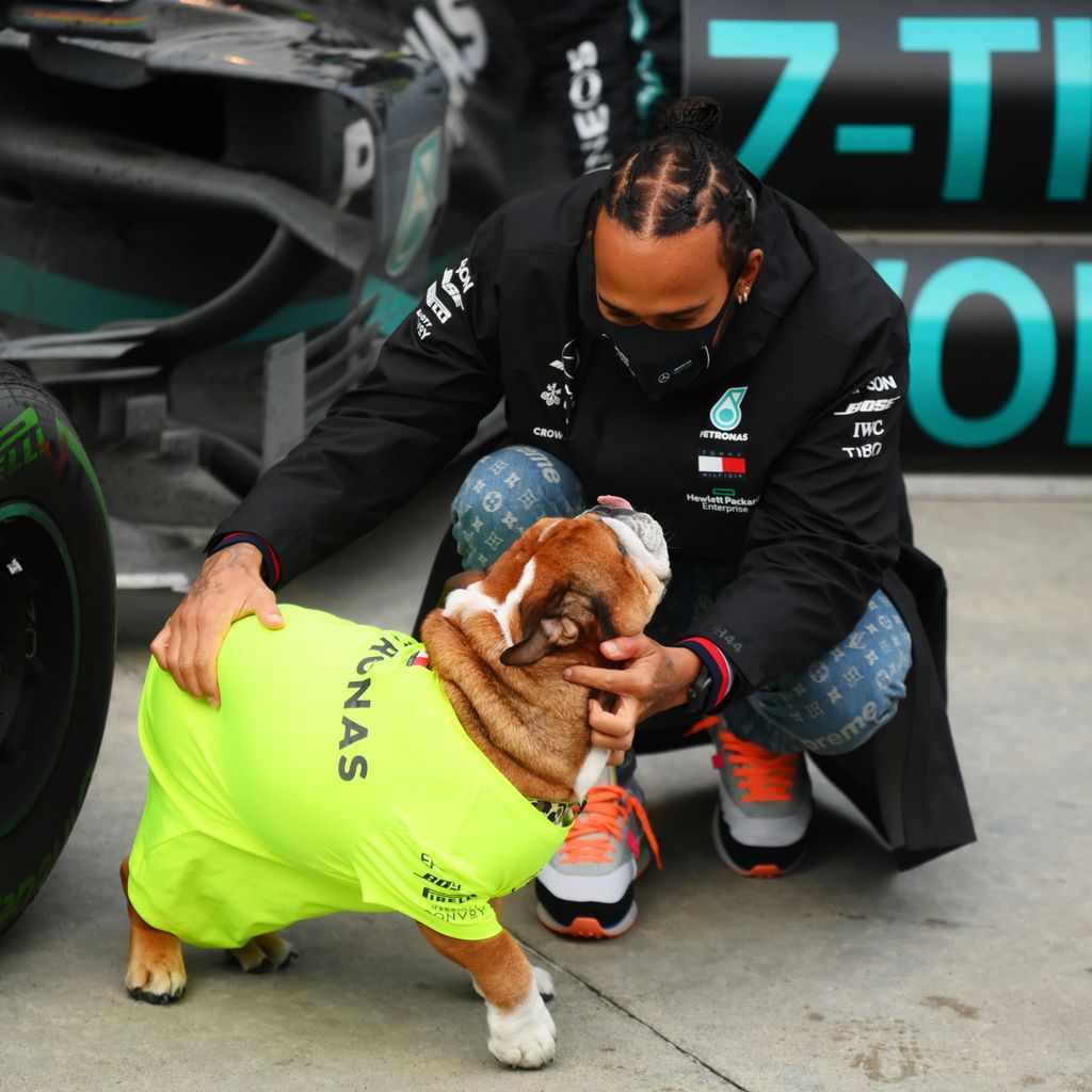 Lewis Hamilton und seine Bulldogge Roscoe, November 2020