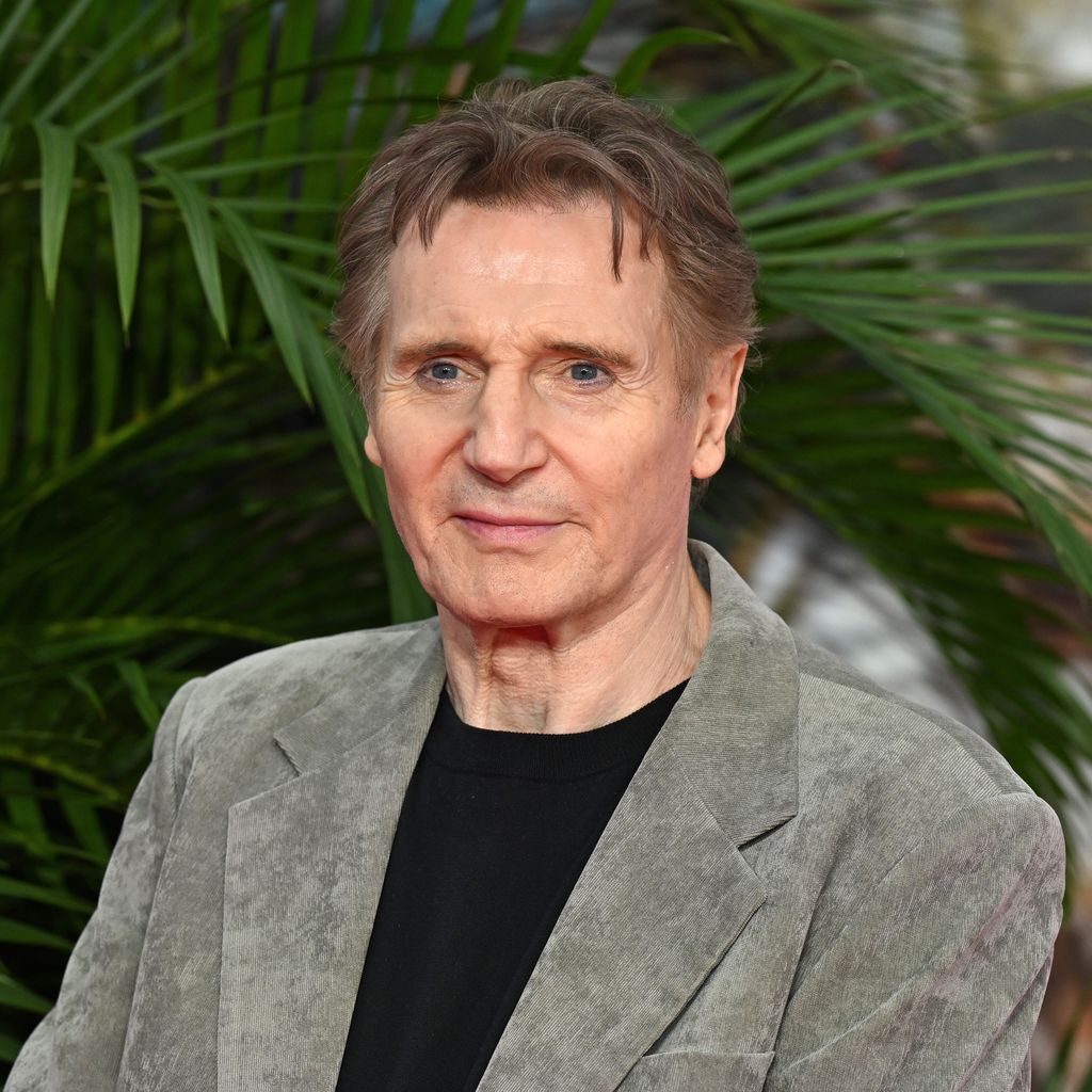 Liam Neeson, Schauspieler