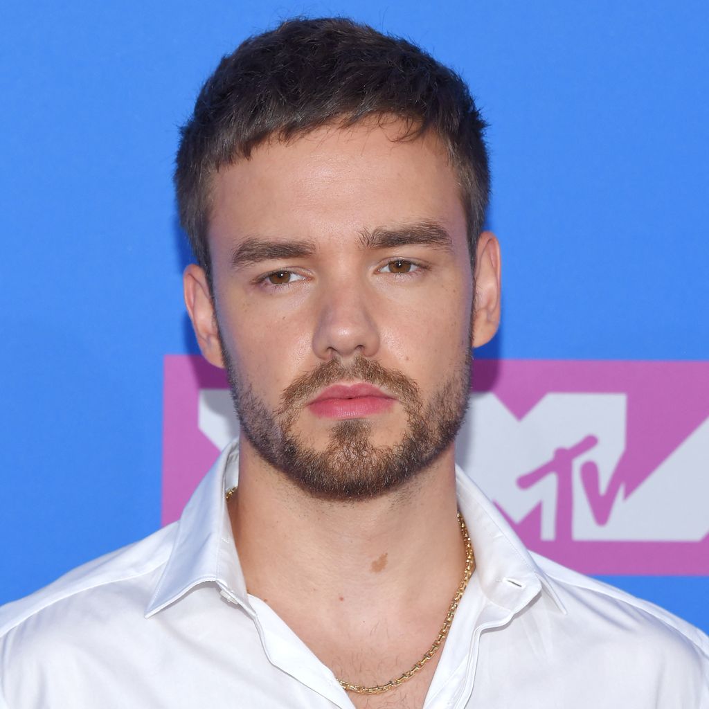 Liam Payne, Sänger