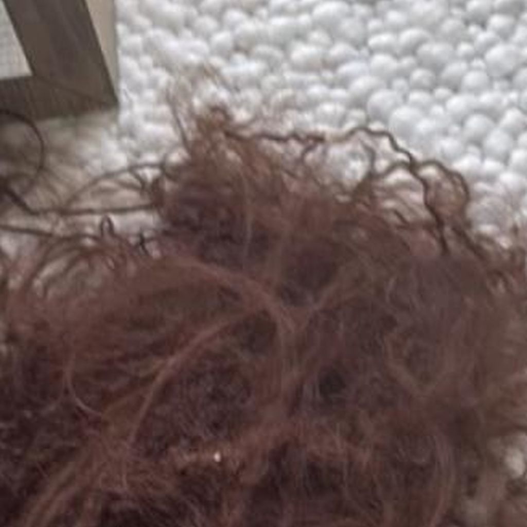 Lilly Beckers Haare