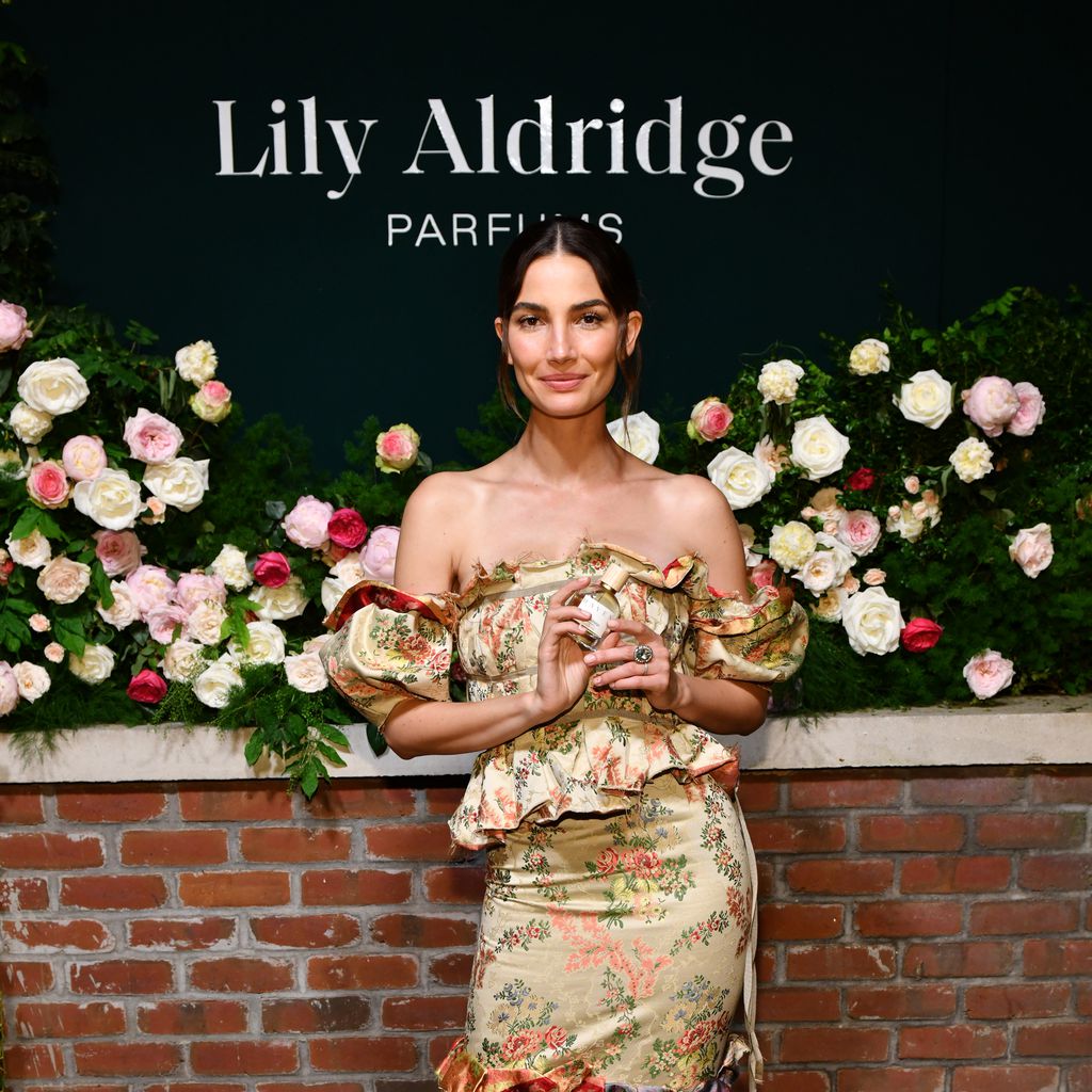 Lily Aldridge, Model