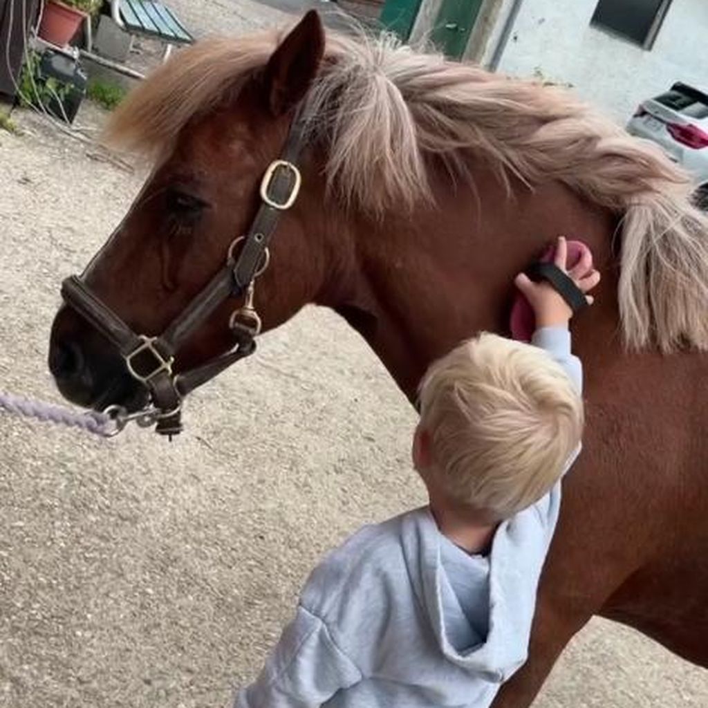 Lio Claßen auf dem Pferdehof, Mai 2022