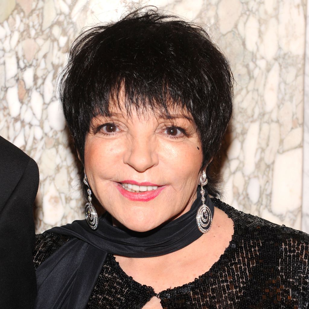 Liza Minnelli 2013 bei der amfAR Gala in New York
