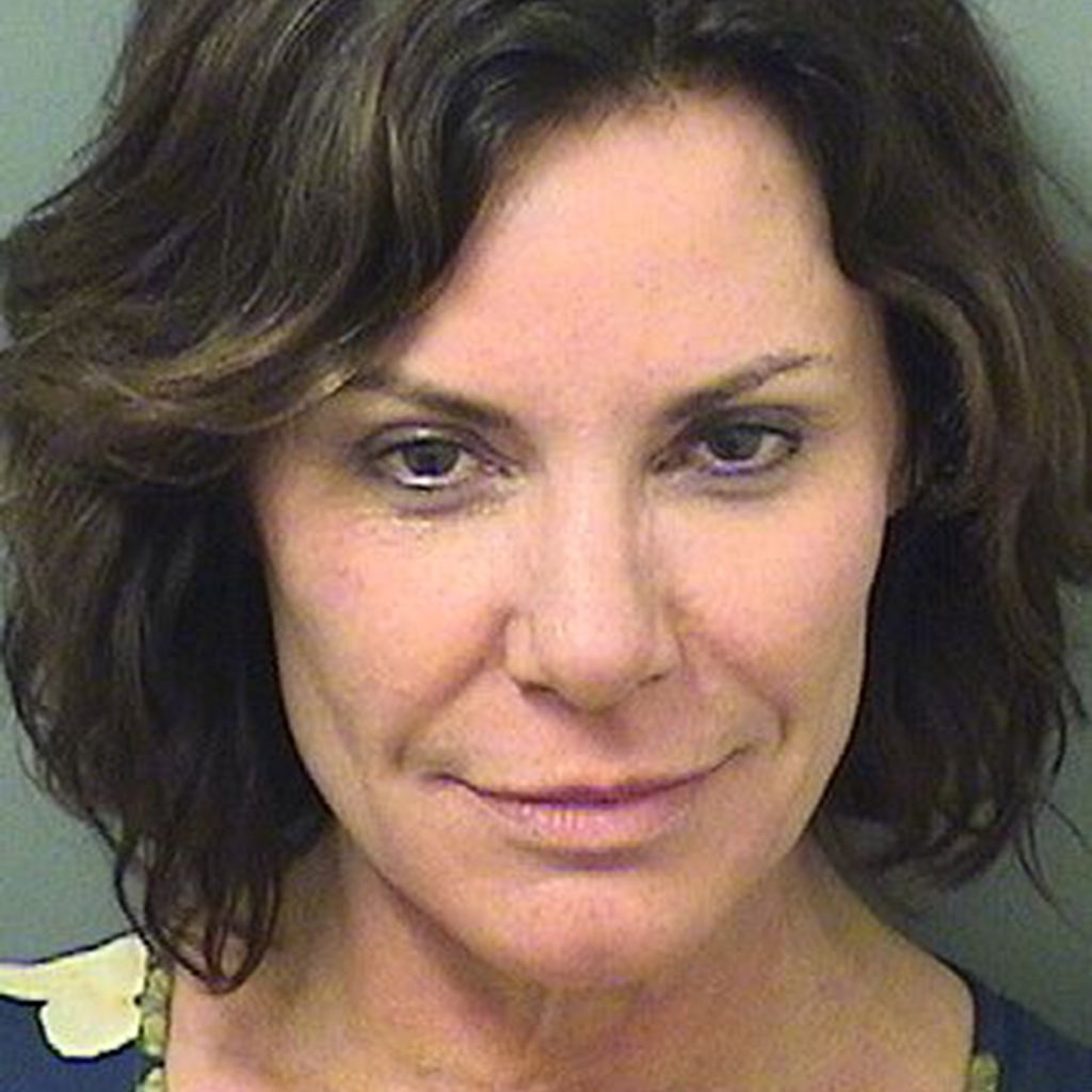 Luann de Lesseps, Polizeifoto, Florida 2017