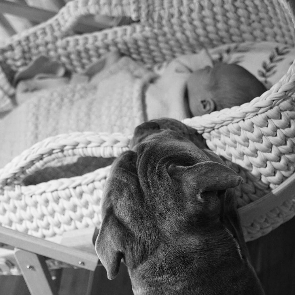 Marco Reus' Baby
