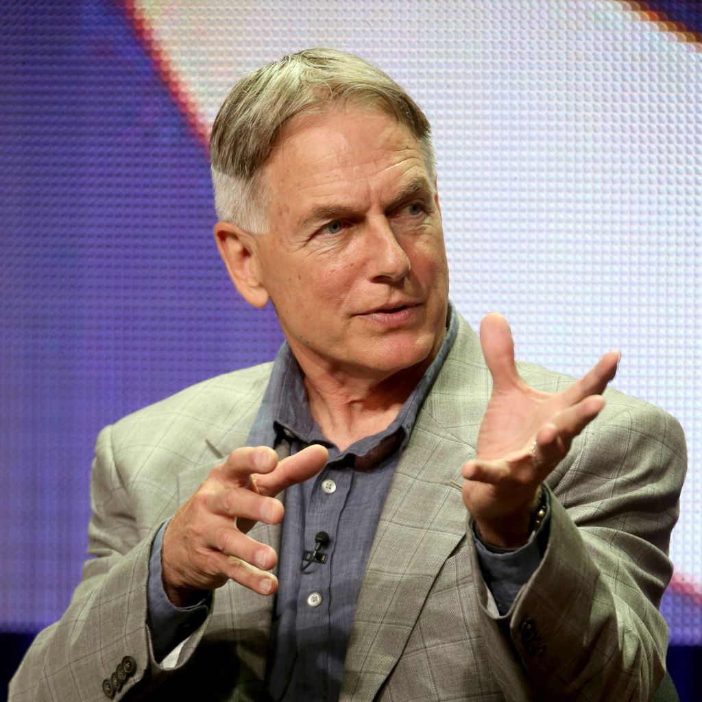 Mark Harmon, Schauspieler