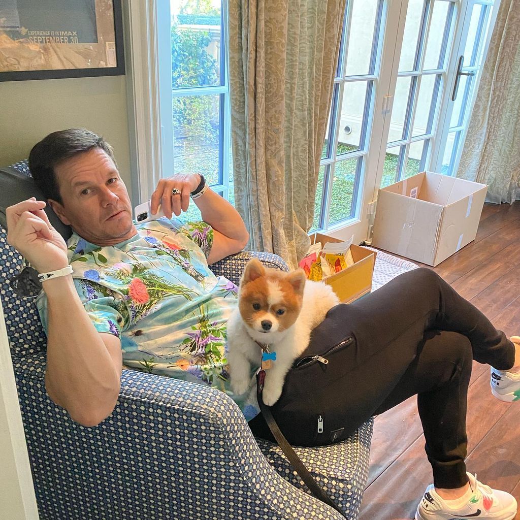 Schauspieler Mark Wahlberg und sein Hund Champ